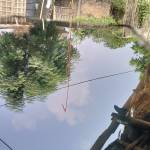 Abhishtyj