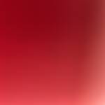 Jose_Carlos_ro