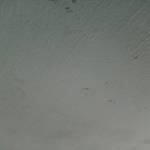 LEOMARCIO DOS SANTOS