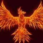 Tony Tantra Tony Guerreiro