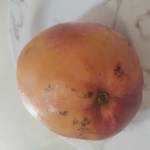 Casal_curioso_24