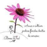 Novinho_dotado