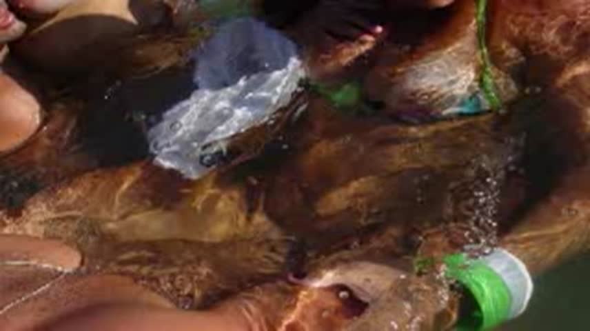 Até em baixo da agua